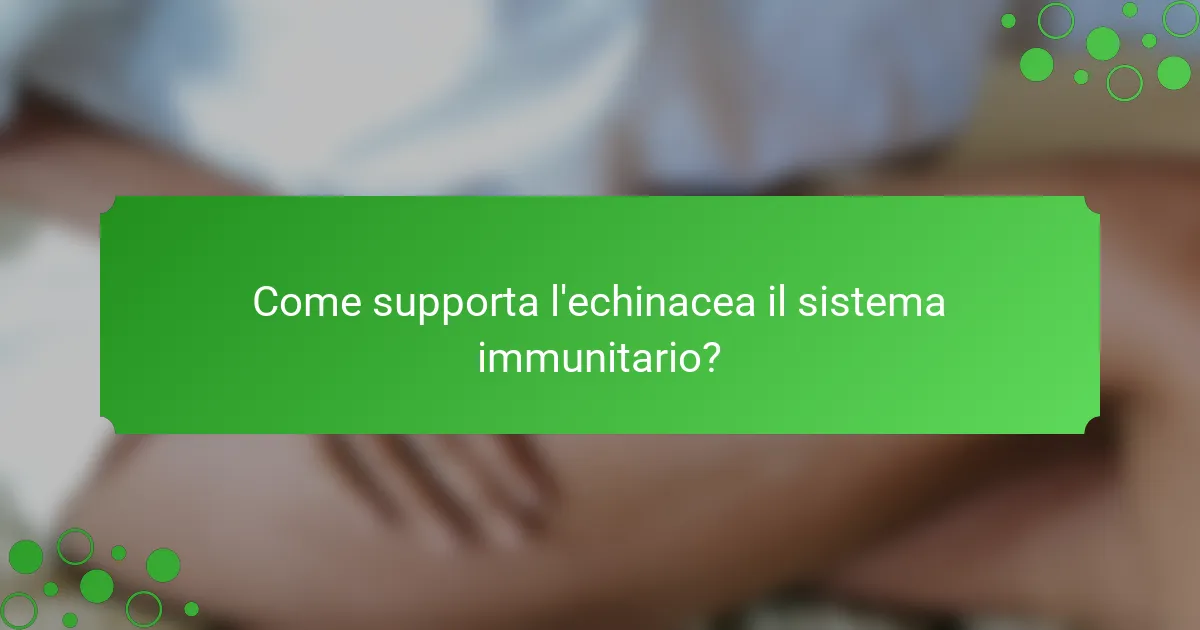 Come supporta l'echinacea il sistema immunitario?
